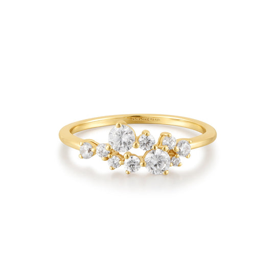 Gold Flower Cluster Pavé Ring - Ania Haie