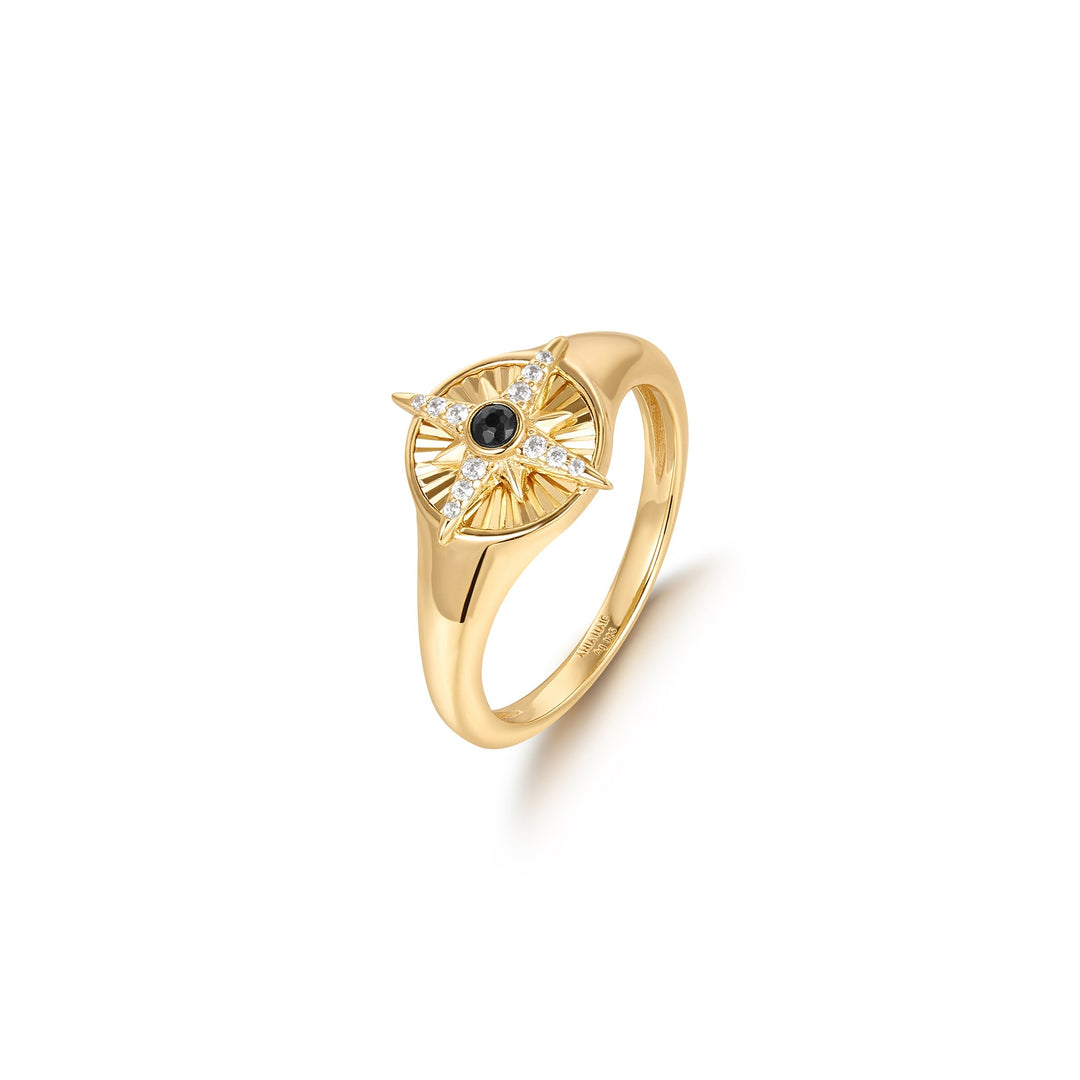 Gold Star Signet Ring - Ania Haie