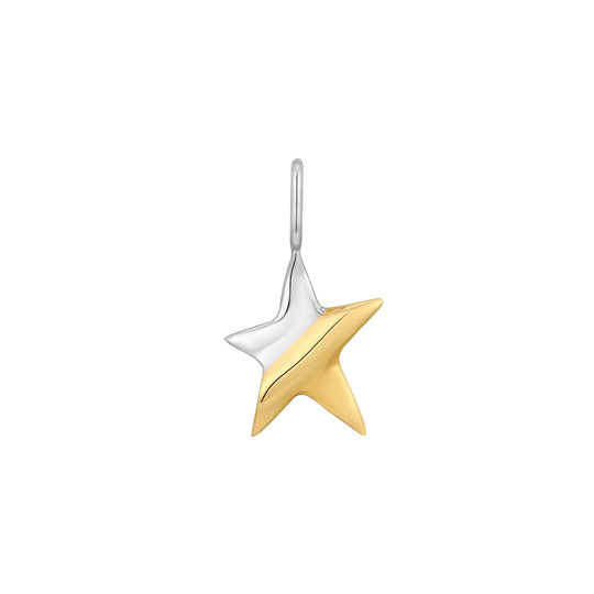 Two Tone Star Charm - Ania Haie