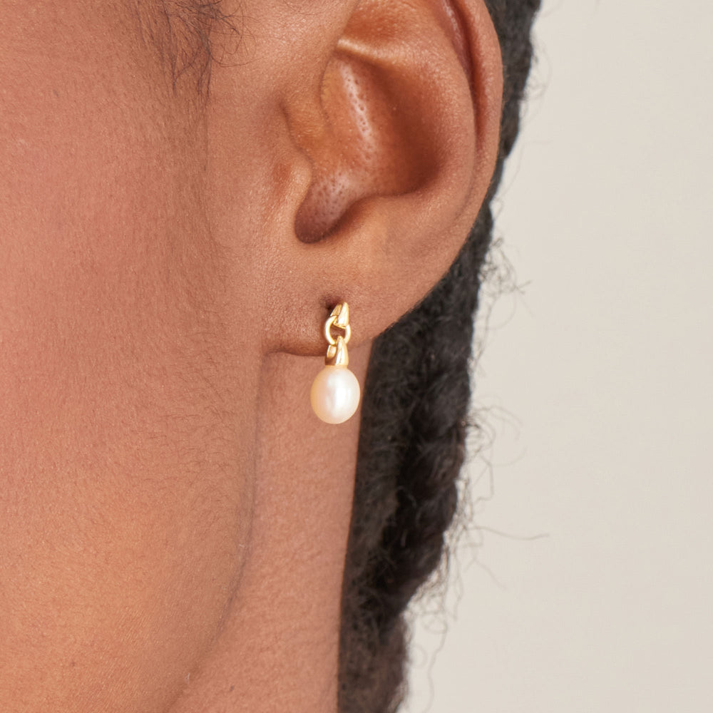 Gold Pearl Drop Stud Earrings - Ania Haie